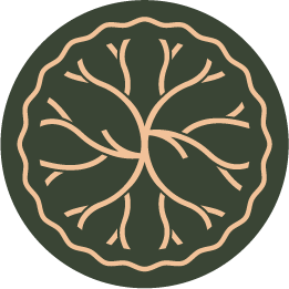 سقطرى مول Logo